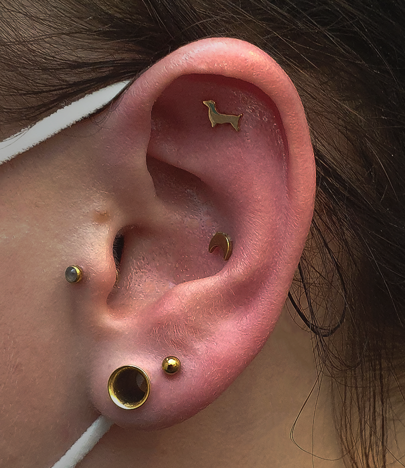 gold piercings in a female's ear
